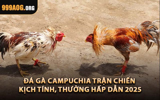 Đá Gà Campuchia – Trận Chiến Kịch Tính, Thưởng Hấp Dẫn 2025