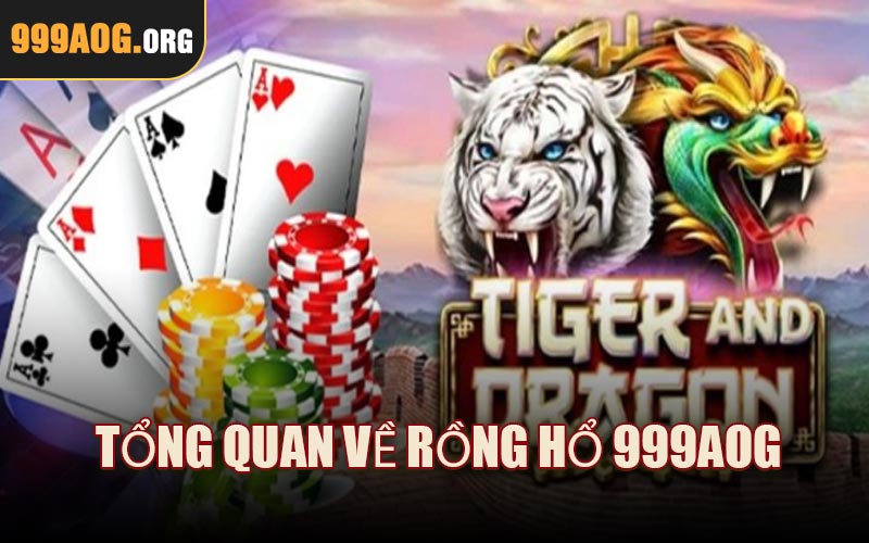 Tổng quan về Rồng Hổ 999AOG 